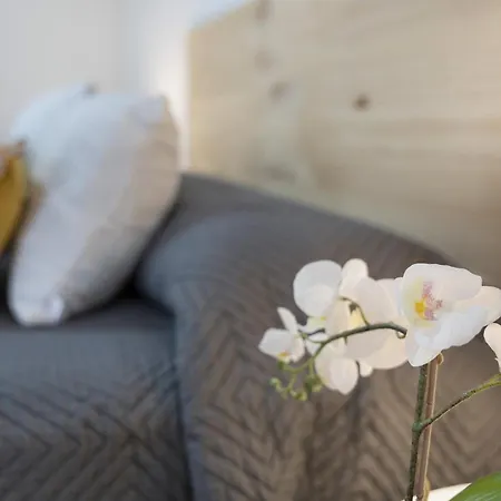 Vivir Lejlighed Bajamar (La Laguna)