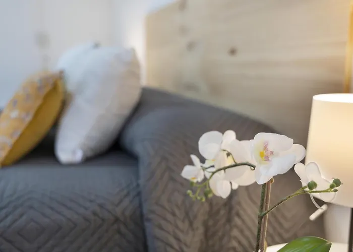 Vivir Apartmán Bajamar (La Laguna)