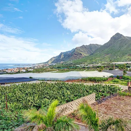 Vivir * באיאמר