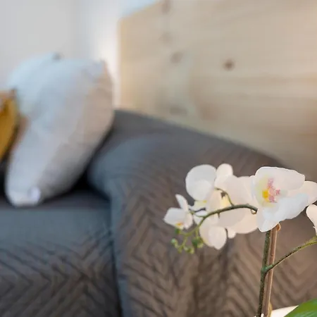 Apartament Vivir